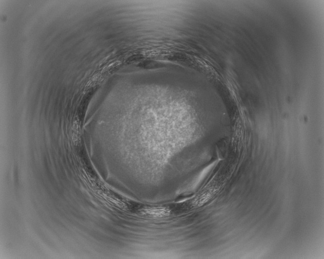 X0000053120659200508012153