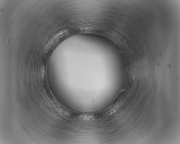 X0000053120660200508012153