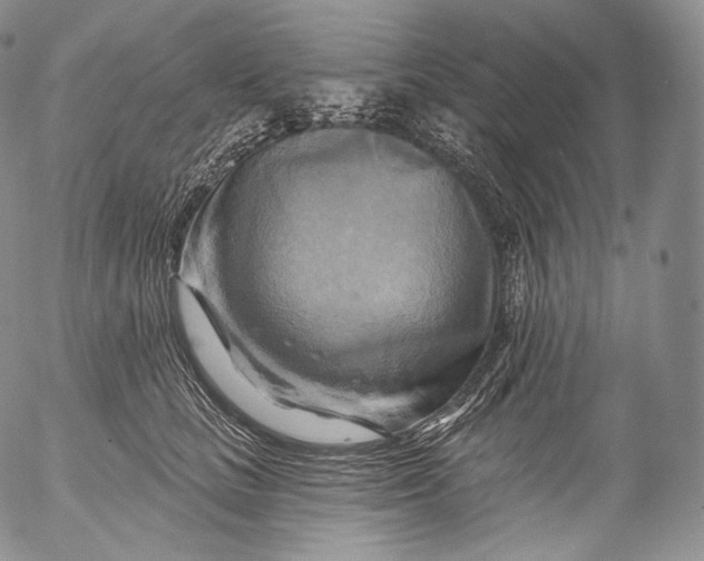 X0000053120661200508012153