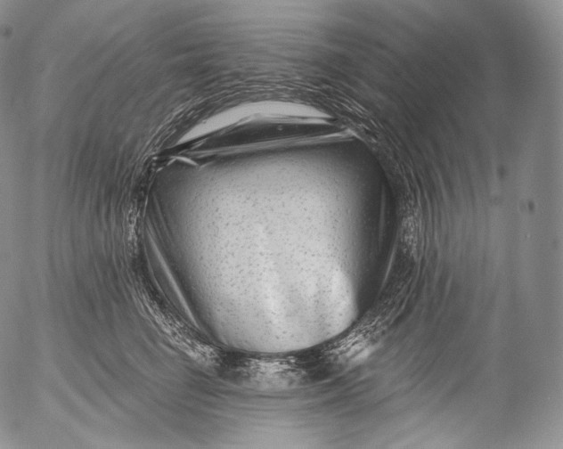 X0000053120662200508012153