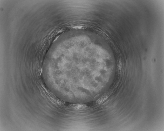 X0000053120663200508012153