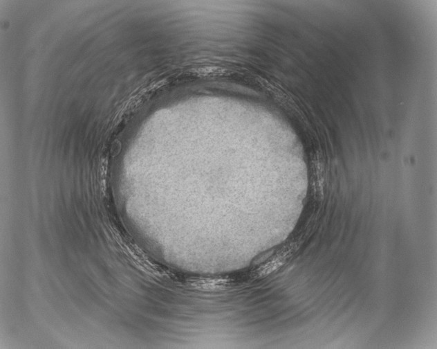 X0000053120664200508012153