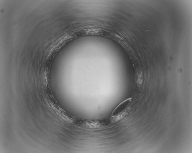 X0000053120666200508012153