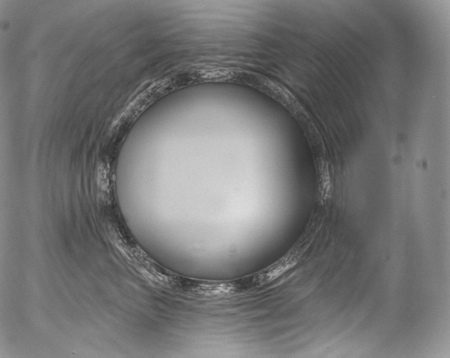 X0000053120667200508012153