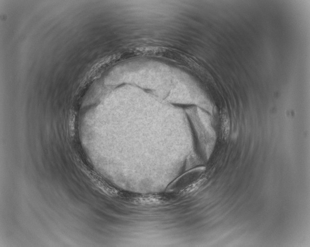 X0000053120668200508012153