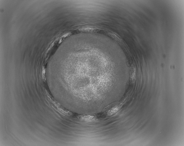 X0000053120669200508012153