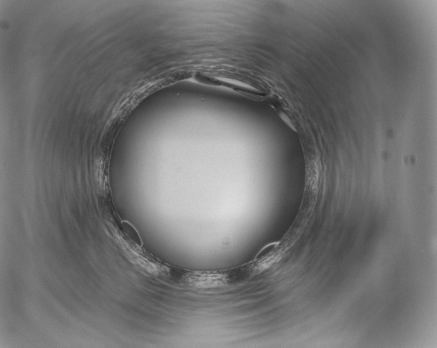 X0000053120670200508012153