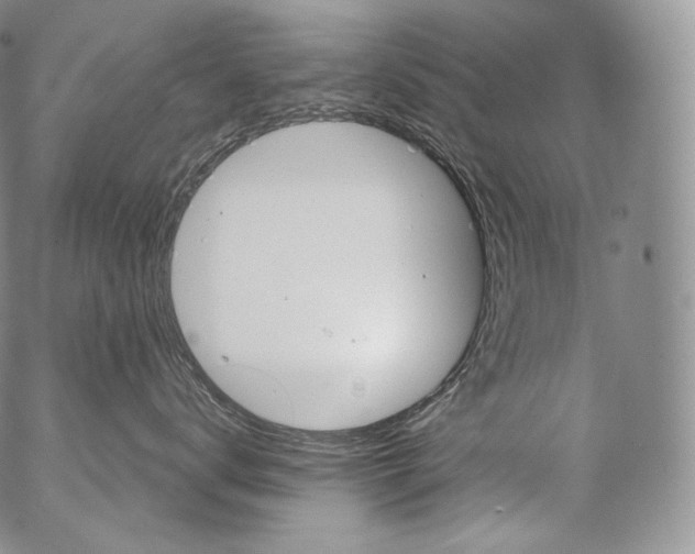 X0000053120672200508012153