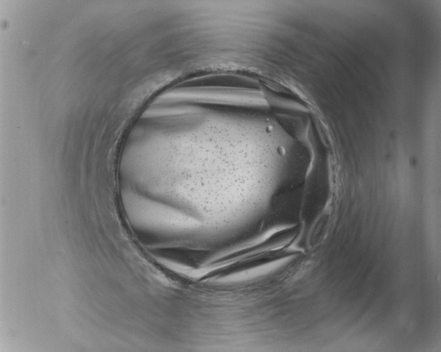 X0000053120673200508012152