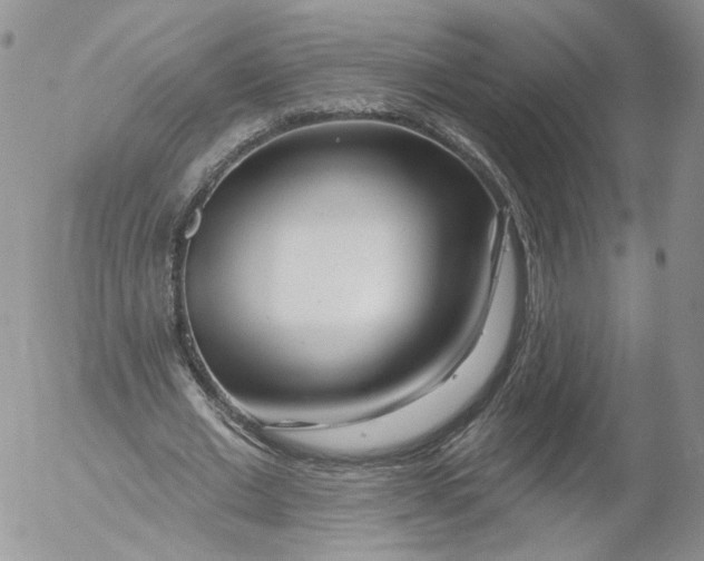 X0000053120677200508012152