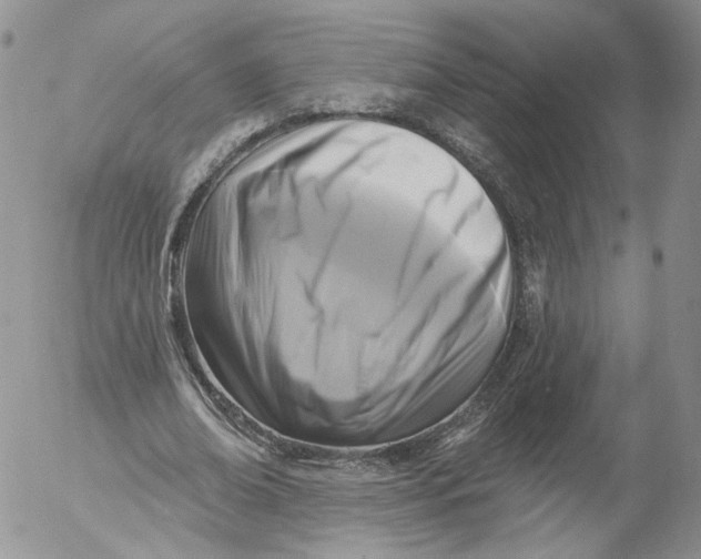 X0000053120678200508012152