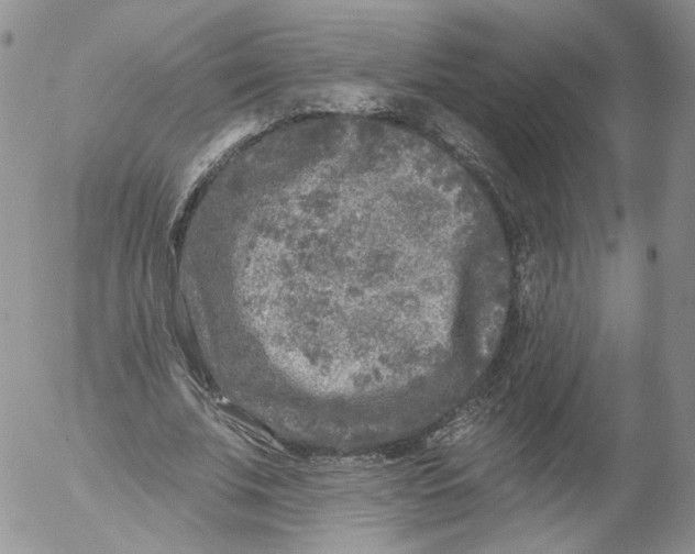 X0000053120679200508012152