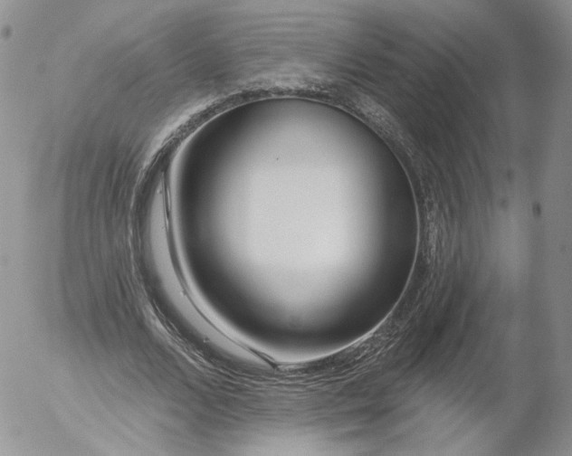 X0000053120680200508012152