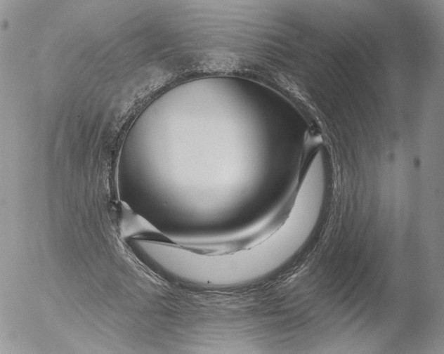 X0000053120681200508012152