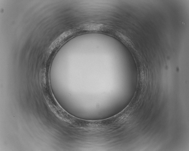 X0000053120682200508012152