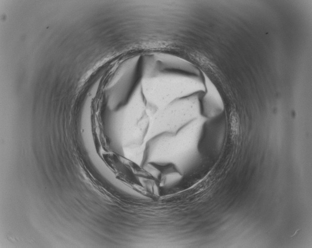 X0000053120684200508012152