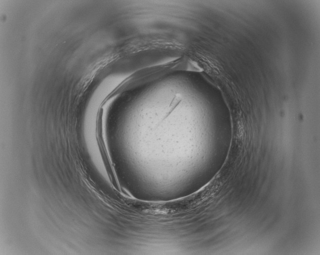 X0000053120687200508012152