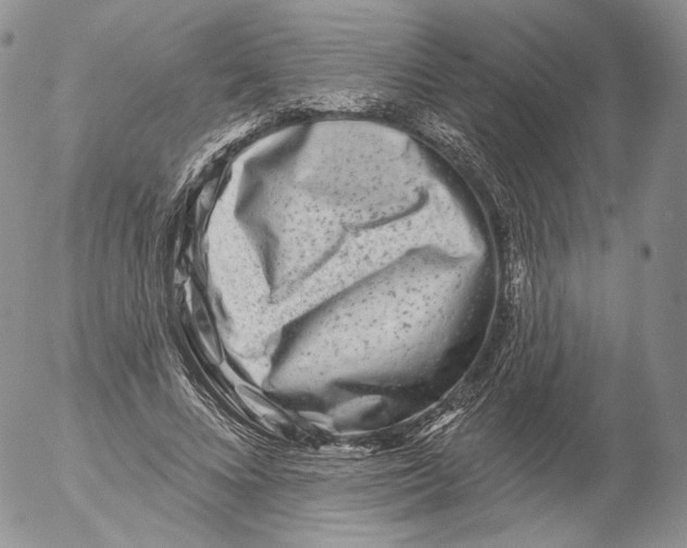 X0000053120688200508012152