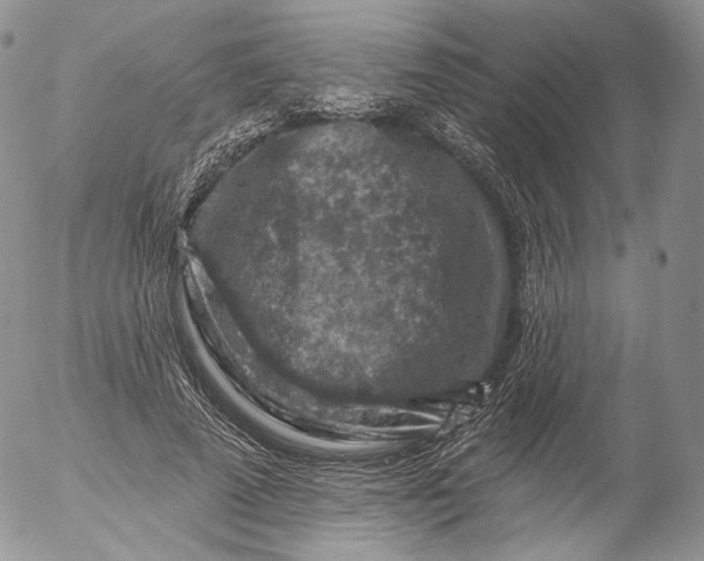 X0000053120689200508012152