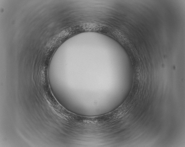 X0000053120690200508012152