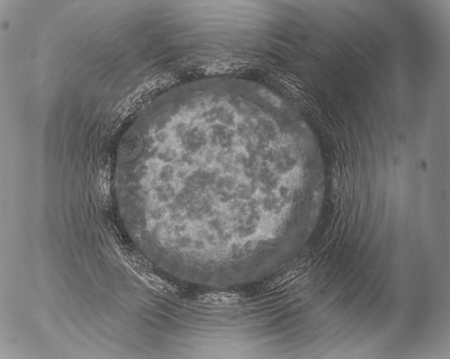 X0000053120691200508012152