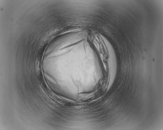 X0000053120692200508012152