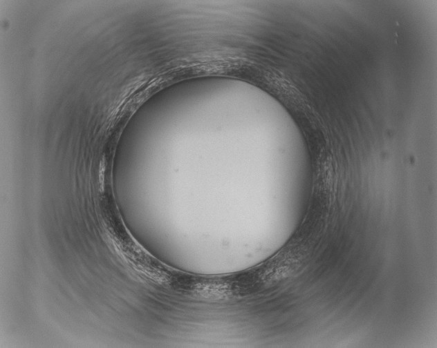 X0000053120694200508012152