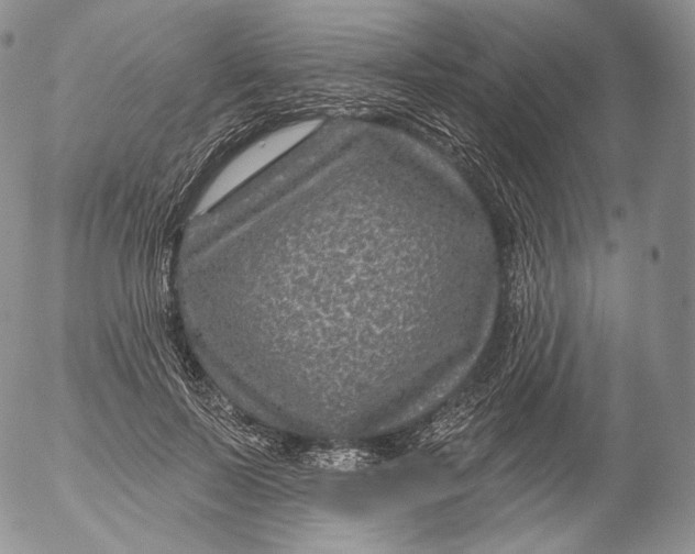 X0000053120695200508012152