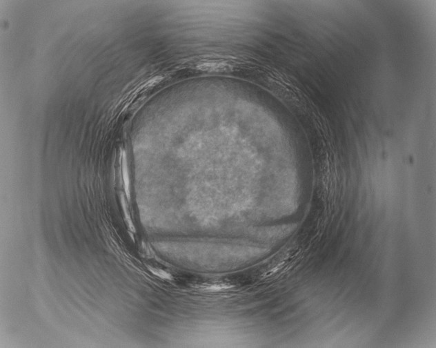 X0000053120696200508012152