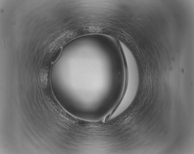 X0000053120697200508012152