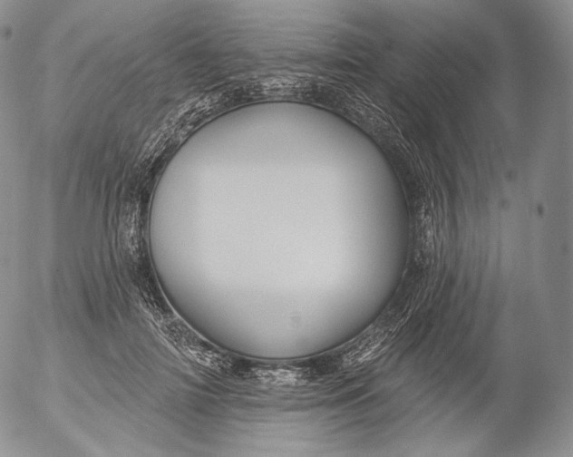 X0000053120698200508012152