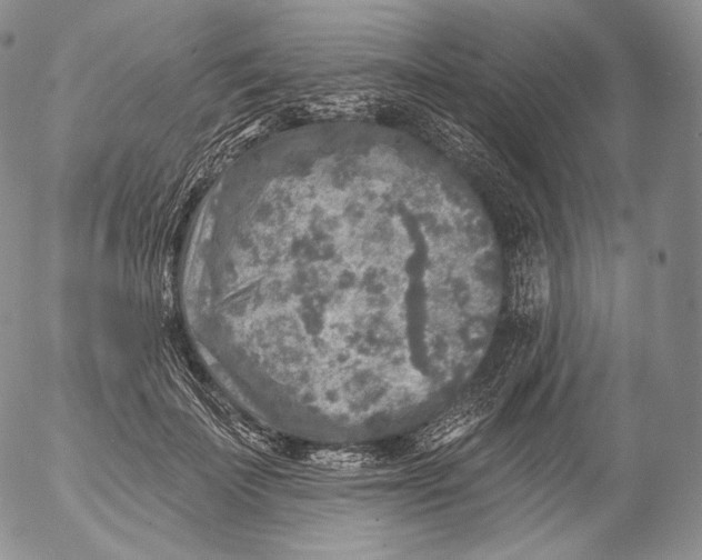 X0000053120699200508012152