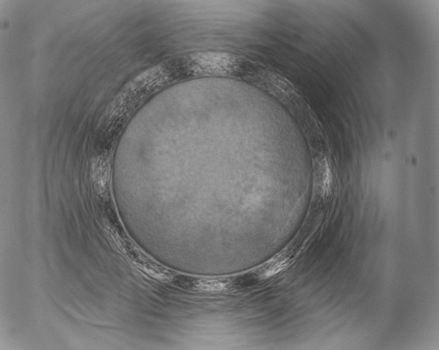 X0000053120701200508012152