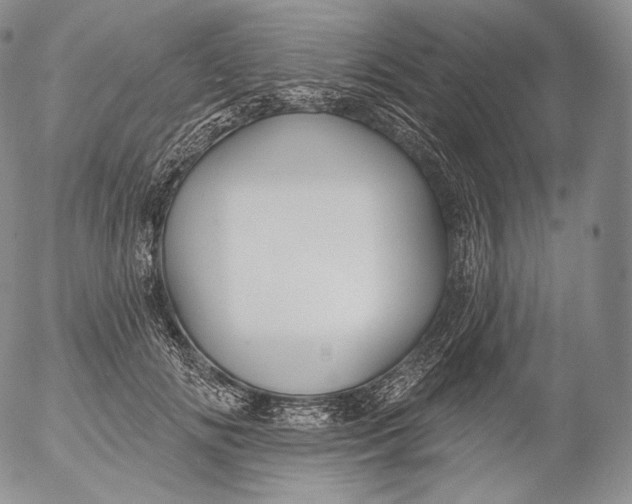 X0000053120702200508012152