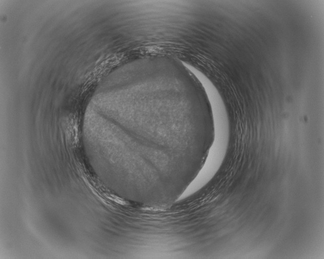 X0000053120703200508012152