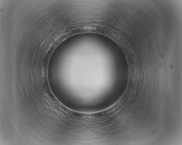 X0000053120704200508012152