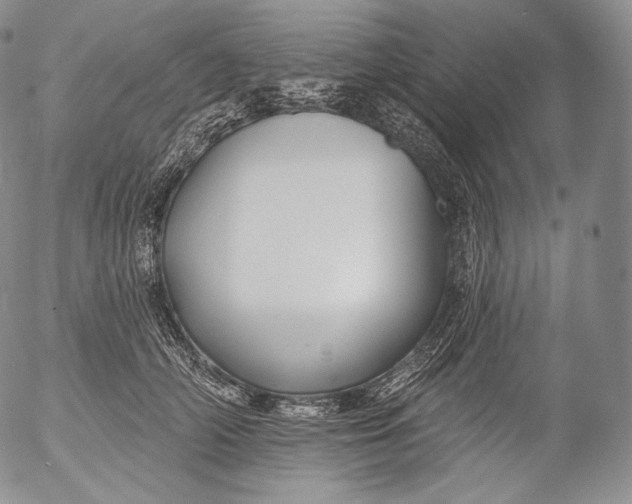 X0000053120706200508012151