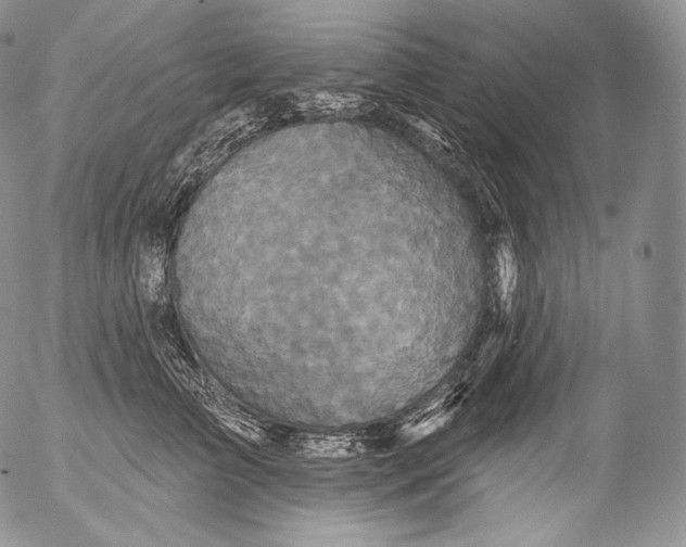 X0000053120709200508012151