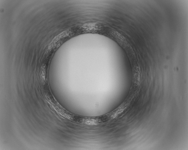 X0000053120710200508012151