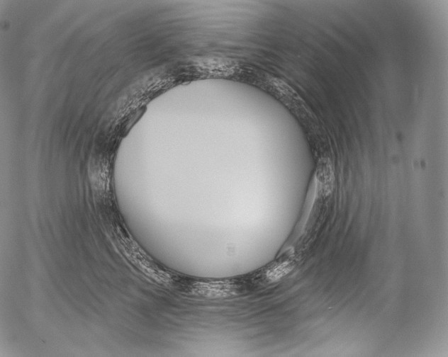 X0000053120713200508012151