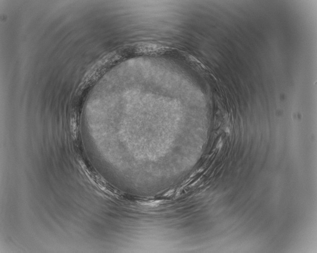 X0000053120716200508012151