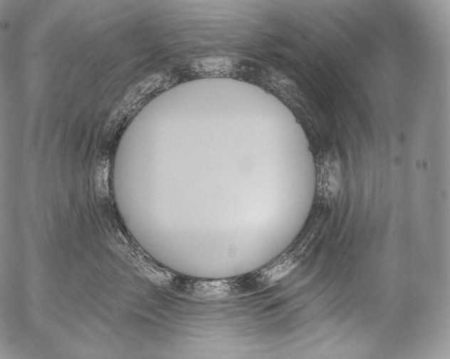 X0000053120717200508012151