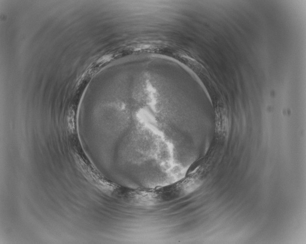 X0000053120718200508012151