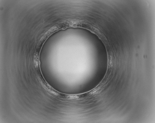 X0000053120719200508012151