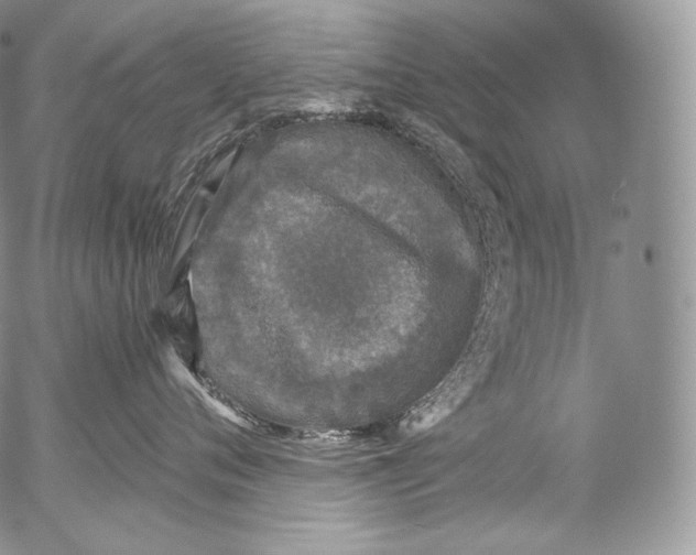 X0000053120720200508012151