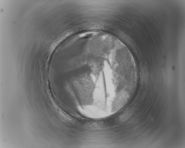 X0000053120721200508012150