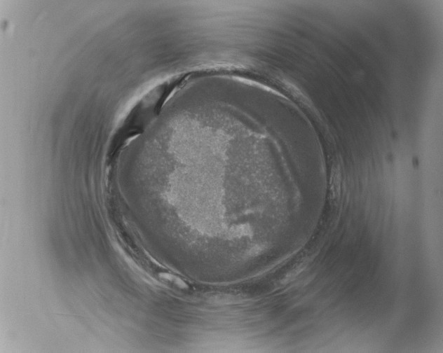 X0000053120722200508012150