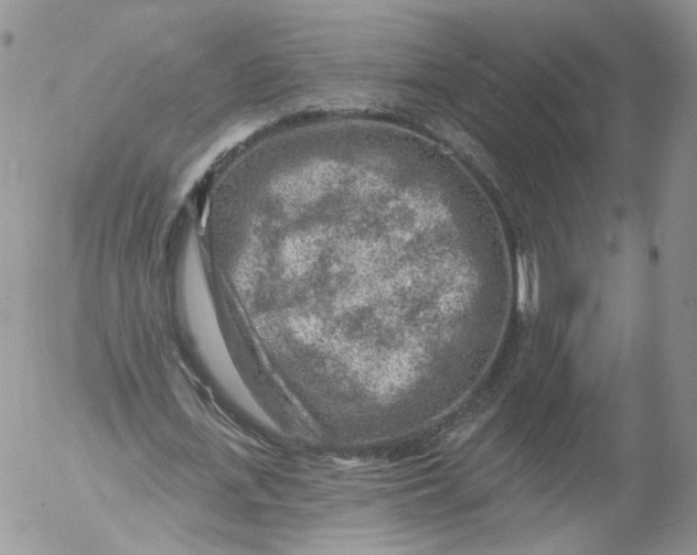 X0000053120723200508012150