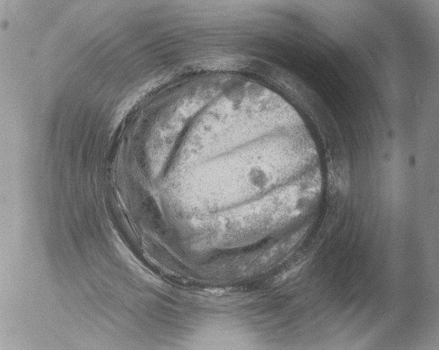 X0000053120725200508012151