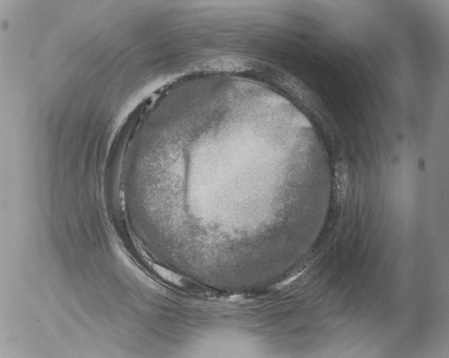 X0000053120726200508012151